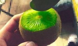 火爆吃瓜抖音网红是谁啊,揭秘火爆网红背后的故事